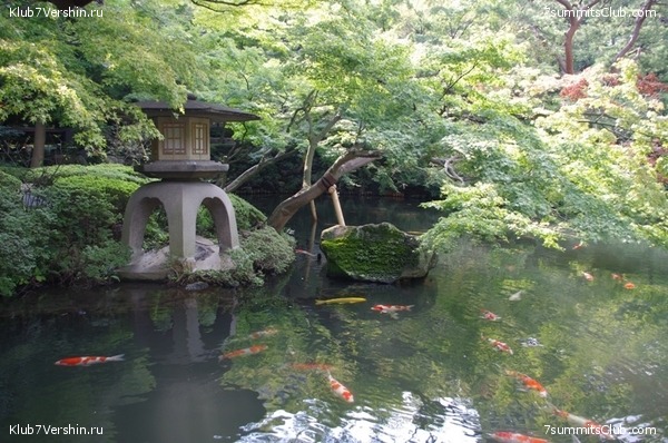 ������ �������-������ 2010, ���� 39