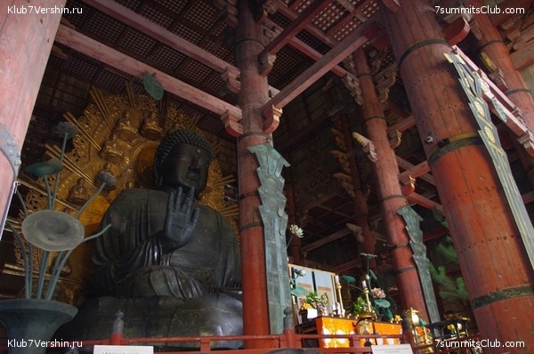 ������ �������-������ 2010, ���� 50