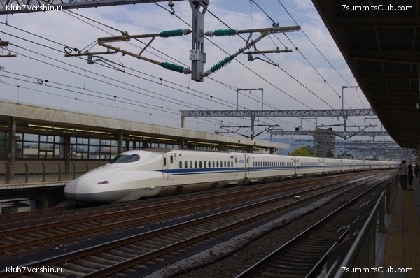 ������ �������-������ 2010, ���� 52