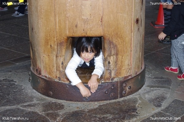 ������ �������-������ 2010, ���� 53