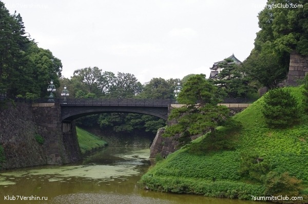 ������ �������-������ 2010, ���� 56