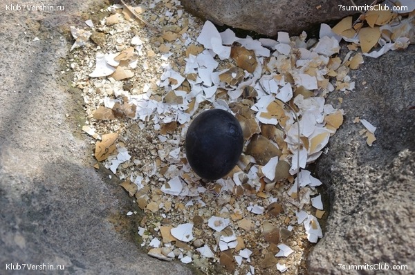 ������ �������-������ 2010, ���� 70