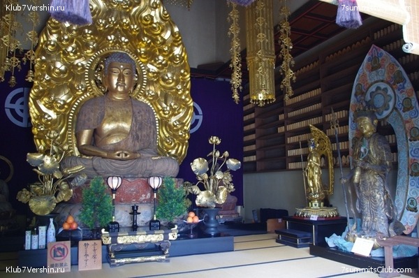 ������ �������-������ 2010, ���� 71