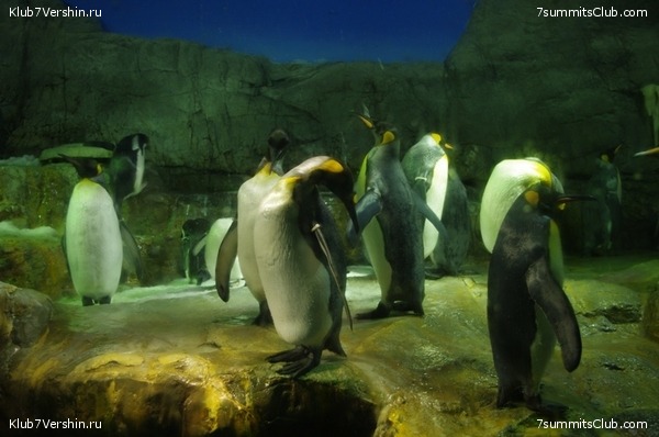 ������ �������-������ 2010, ���� 72