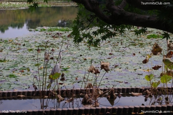 ������ �������-������ 2010, ���� 75