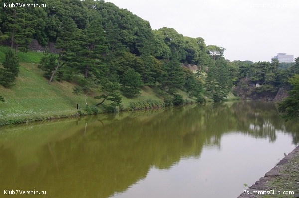 ������ �������-������ 2010, ���� 80