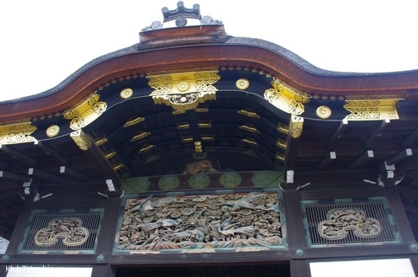 ������ �������-������ 2010, ���� 81