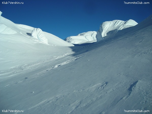 ����� ������, ���� 81