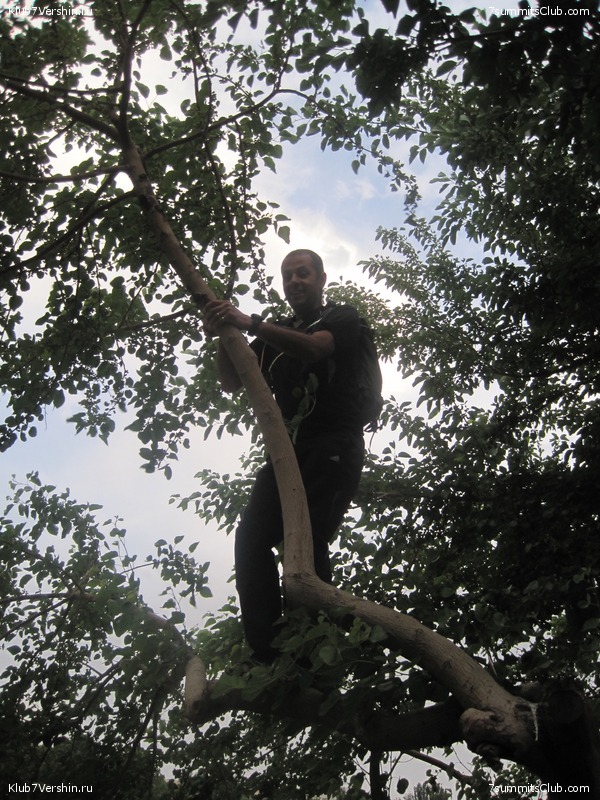 ����������� �� ��������, ���� 114