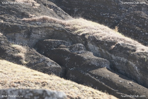 ���� ���� ������. ����� � �������, ���� 44