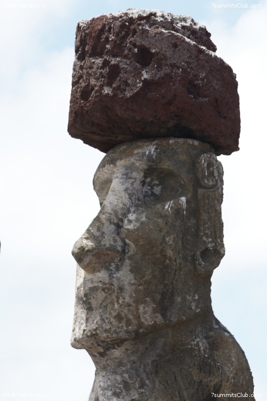 ���� ���� ������. ����� � �������, ���� 134