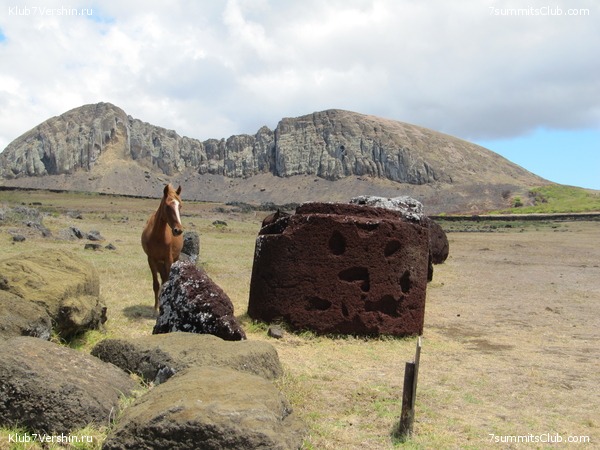 ���� ���� ������. ����� � �������, ���� 90