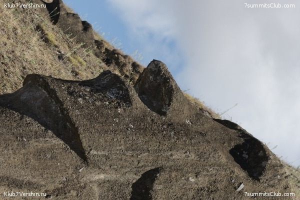 ���� ���� ������. ����� � �������, ���� 46