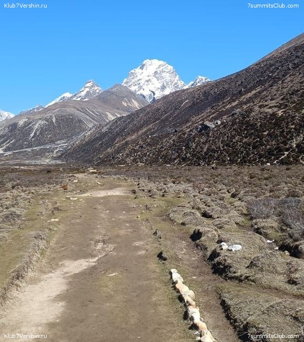 �����. 2023. ���. ��� ������ ������, ���� 34