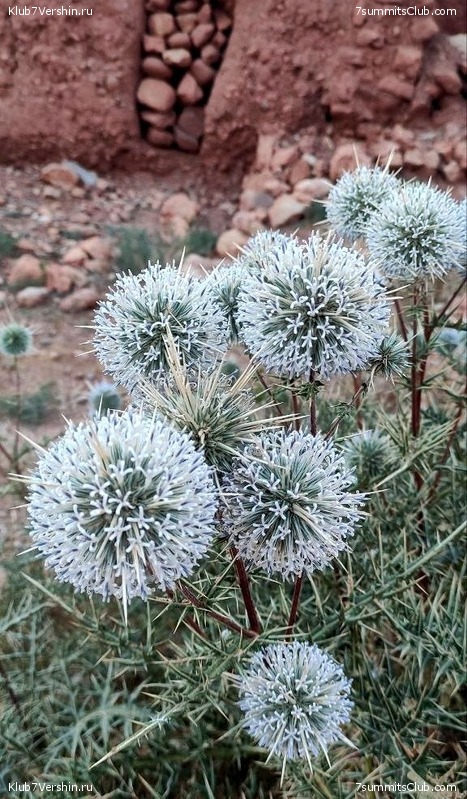 �������. 2023. ���. ��������� ���������, ���� 114