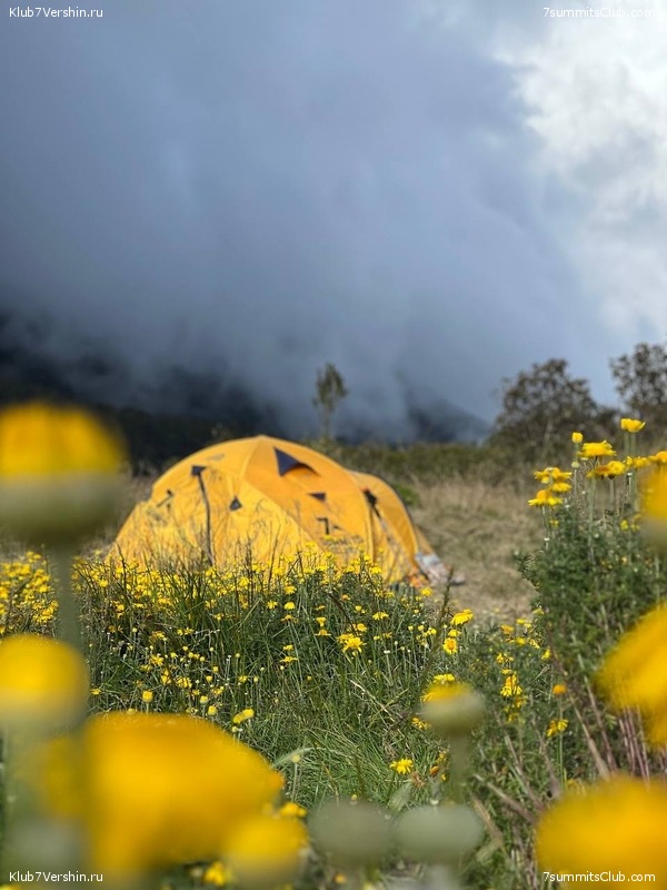 ������ 2023. ������. ����� ������, ���� 71