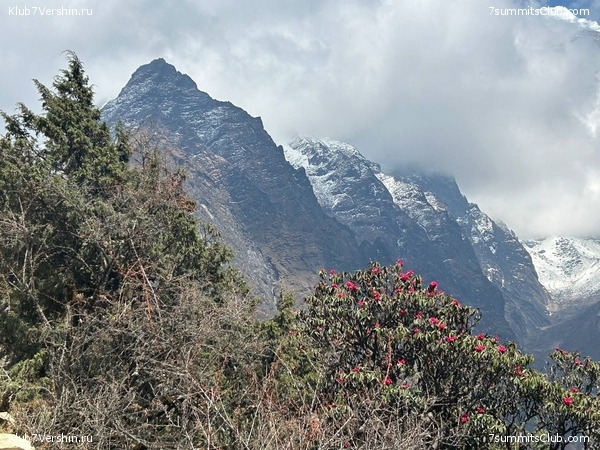 ������� 2023. ����� ������. ��������� �������, ���� 12