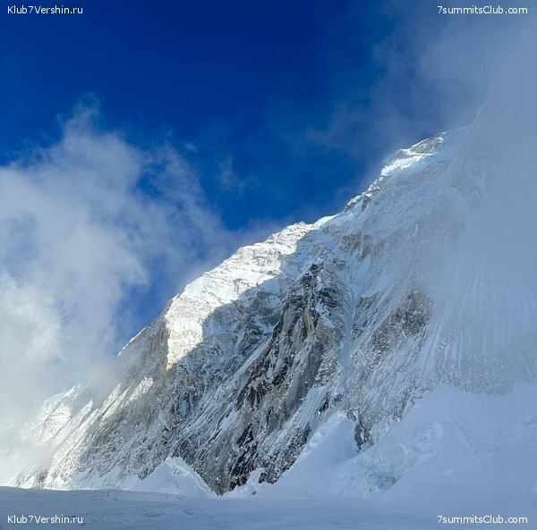  2023.  8000.  2.  ,  29