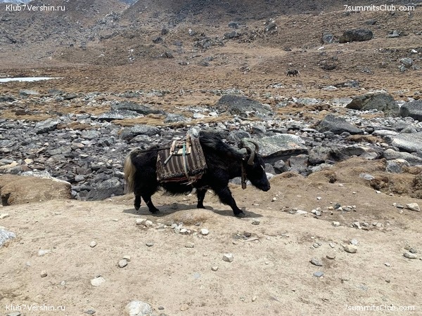 ����� 2023. �������� � �������� ������. ����� ������������, ���� 47