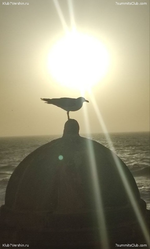 �������. 2023. ���. ��������� ���������, ���� 107