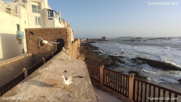 �������. 2023. ���. ��������� ���������, ���� 47