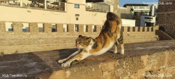 �������. 2023. ���. ��������� ���������, ���� 25