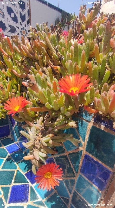 �������. 2023. ���. ��������� ���������, ���� 120