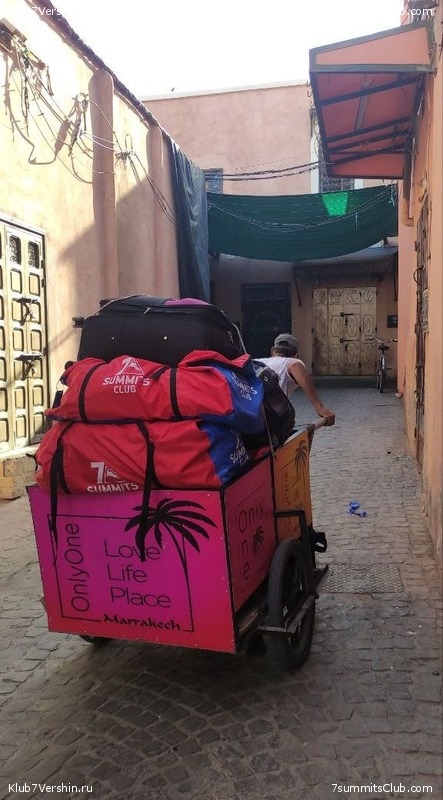 �������. 2023. ���. ��������� ���������, ���� 121