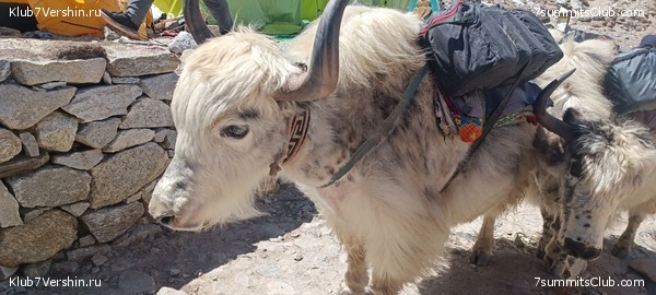 �����. 2023. ���. ��� ������ ������, ���� 6