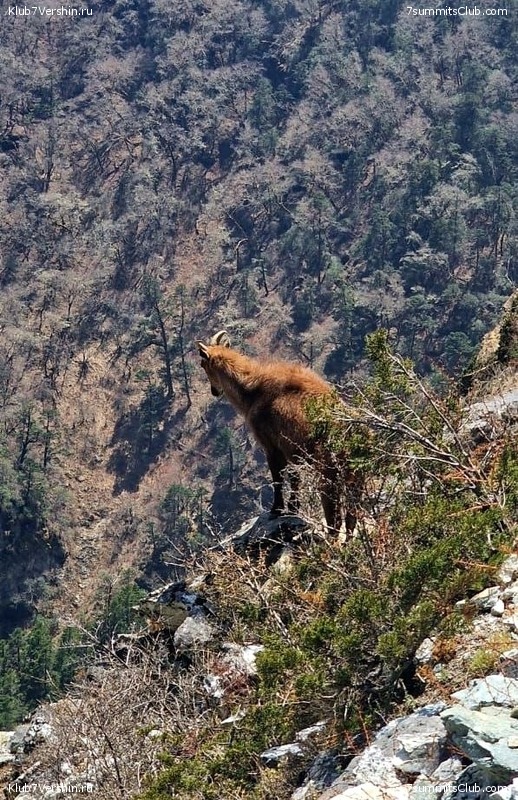 ������ 2023. ������� ���������, ���� 228