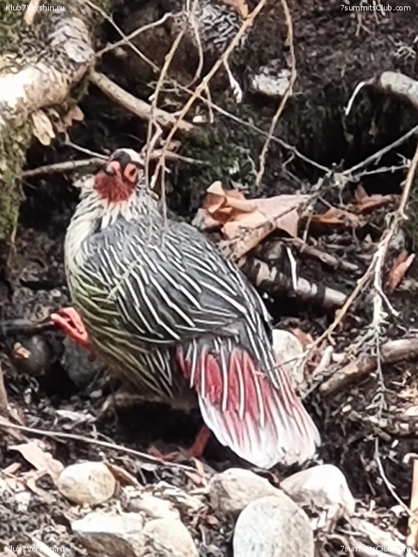 ������ 2023. ������� ���������, ���� 203