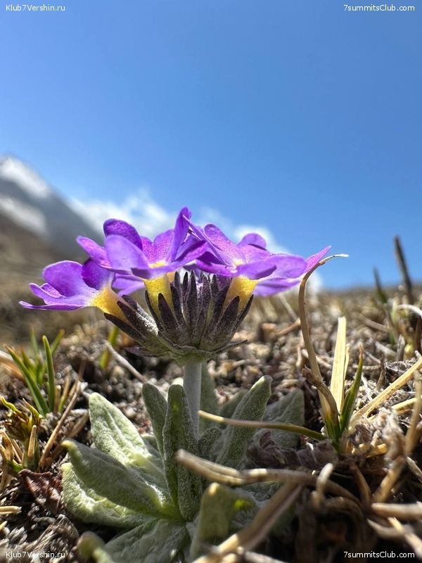 ������� 2023. ���� 8000. ����� 2. ������ �������, ���� 51