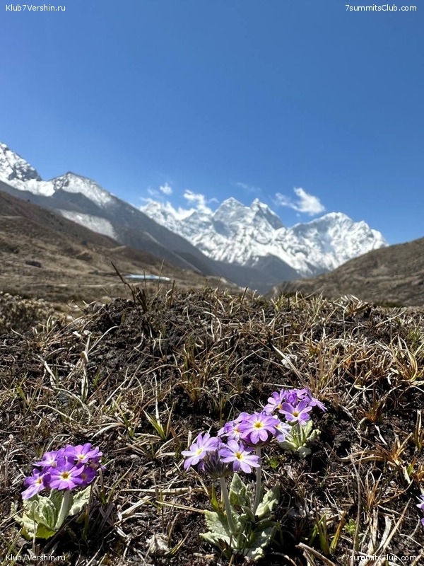 ������� 2023. ���� 8000. ����� 2. ������ �������, ���� 52