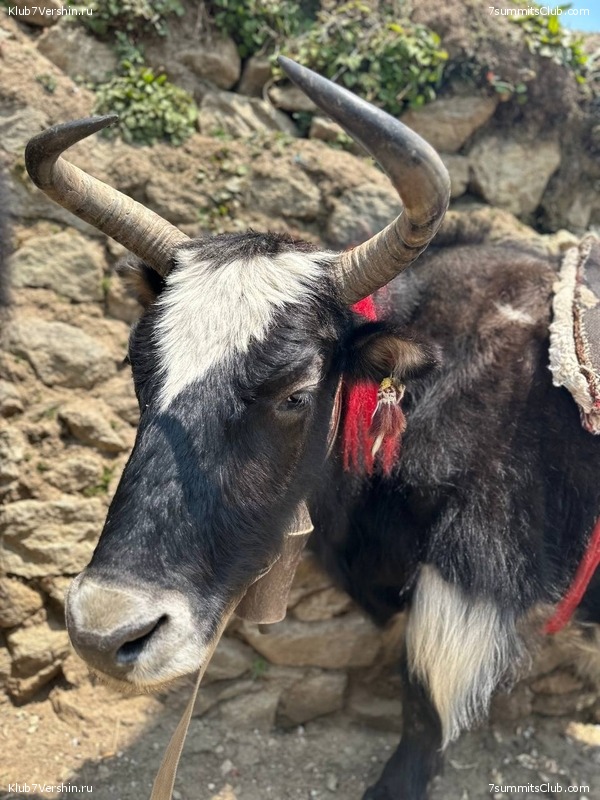 ������� 2023. ���� 8000. ����� 2. ������ �������, ���� 55