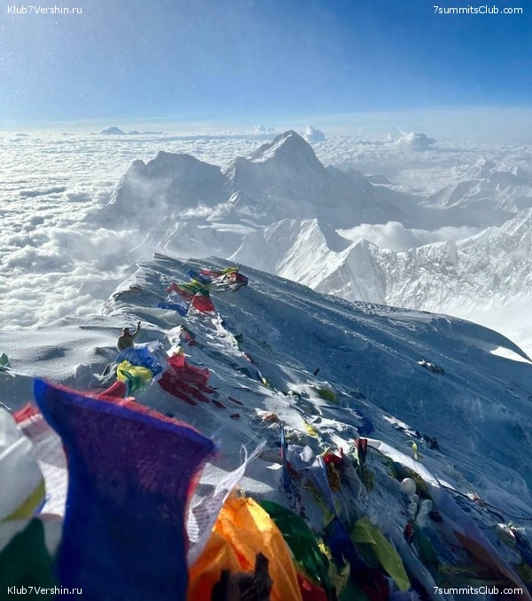  2023.  8000.  2.  ,  36