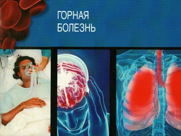 ������ 2023 ���, ���� 61