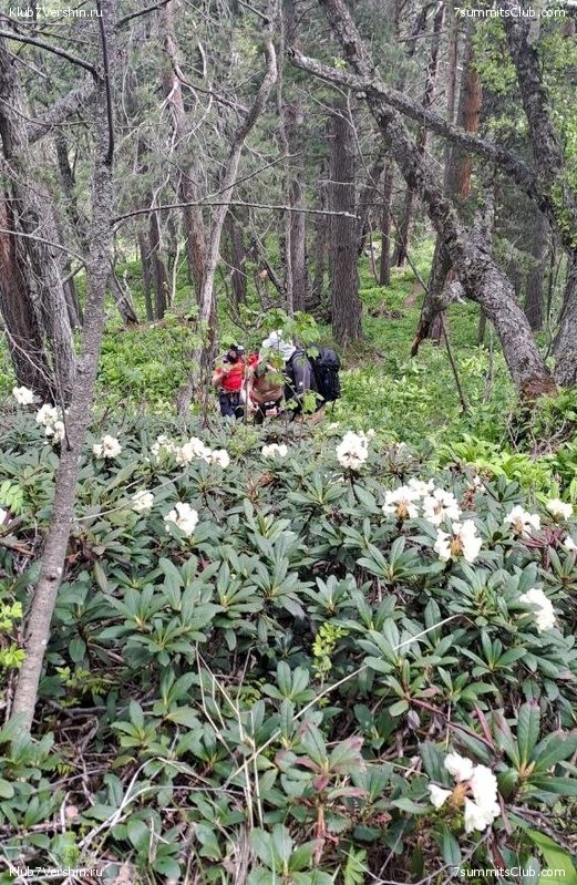 ������� 2023. ����. ����� 1, ���� 197