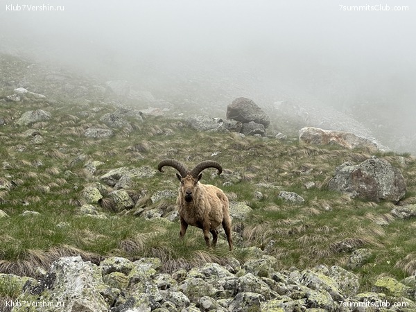 ������. �������. ����� ������������, ���� 67