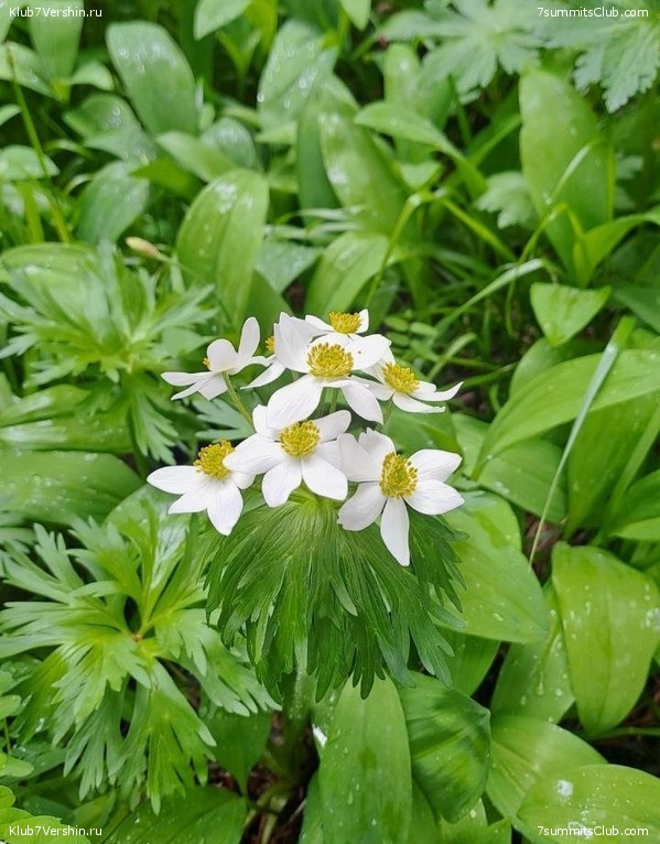 ������� 2023. ����. ����� 1, ���� 120