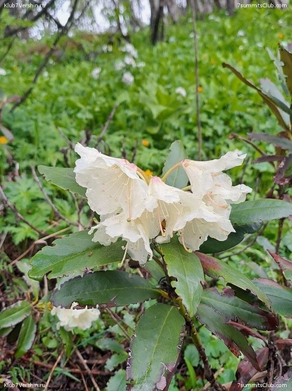 ������� 2023. ����. ����� 1, ���� 169