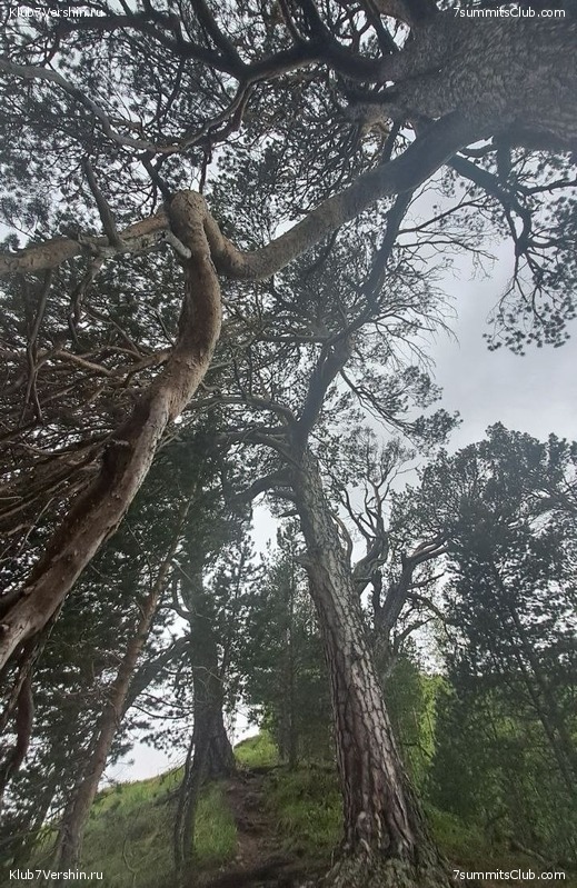 ������� 2023. ����. ����� 1, ���� 199