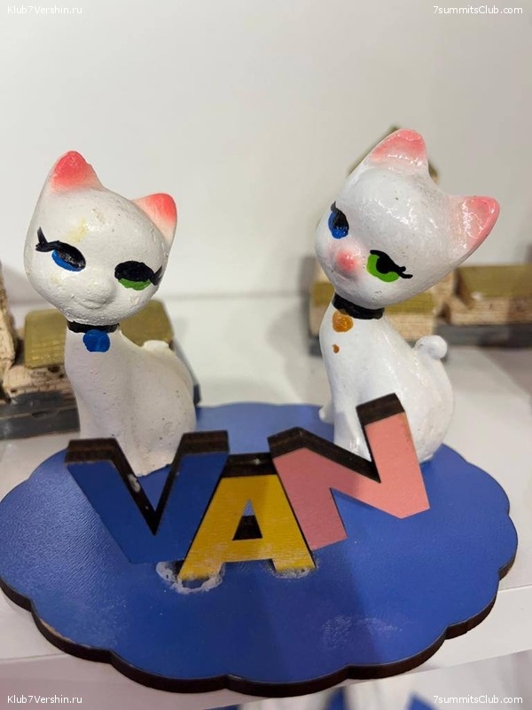 ������ 2023, ���� 118