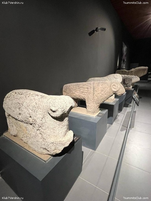 ������ 2023, ���� 119