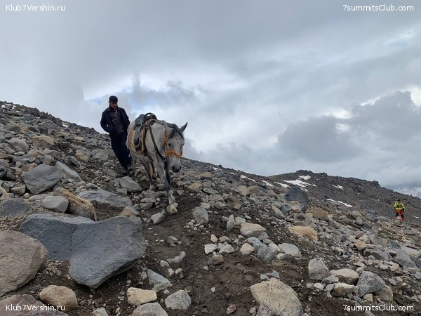 ������ 2023, ���� 43