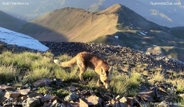 ��������. 2023, ����, ���� 45