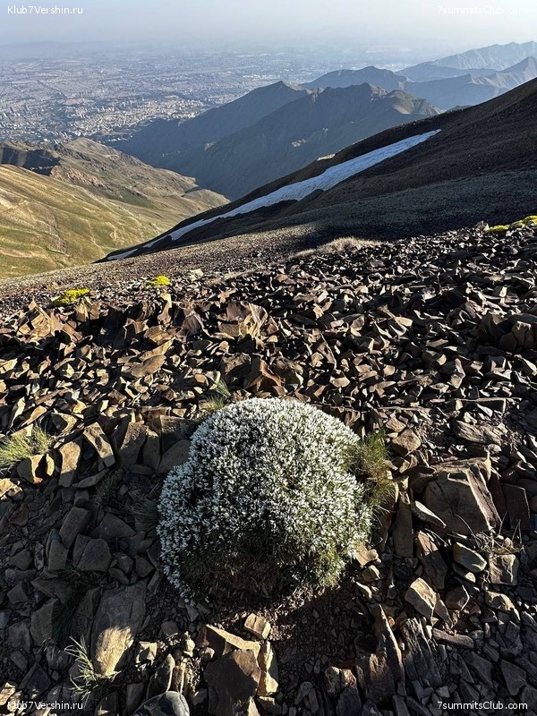 ��������. 2023, ����, ���� 88