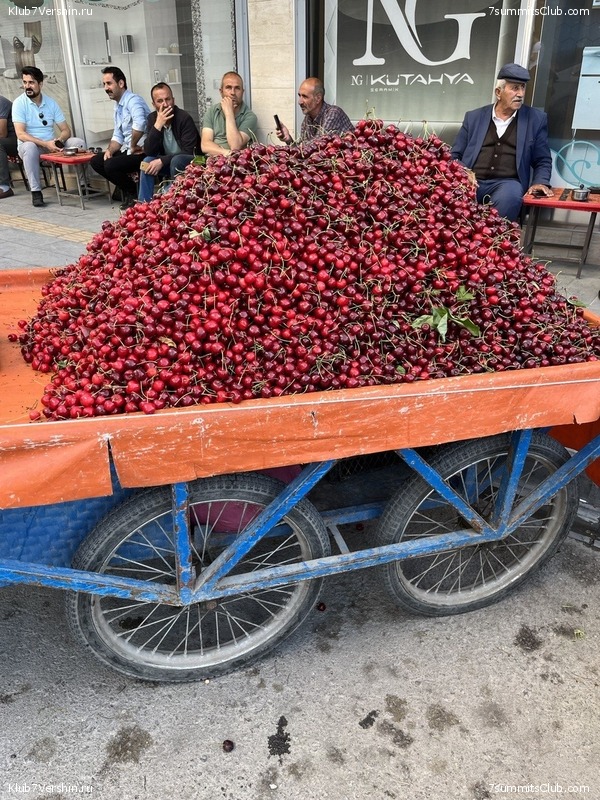 ������ 2023, ���� 133