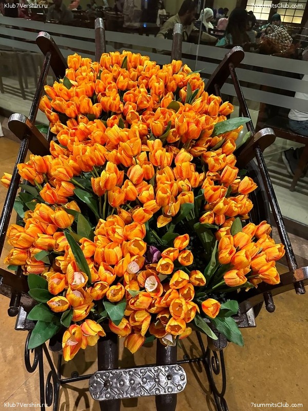 ���������� "��� ������ 2.0". ����������� �� �2. ����� 1, ���� 129