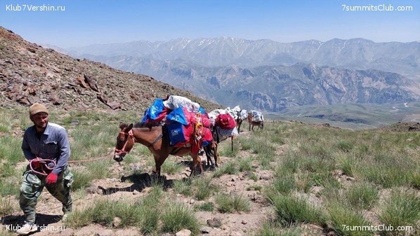 ��������. 2023, ����, ���� 26