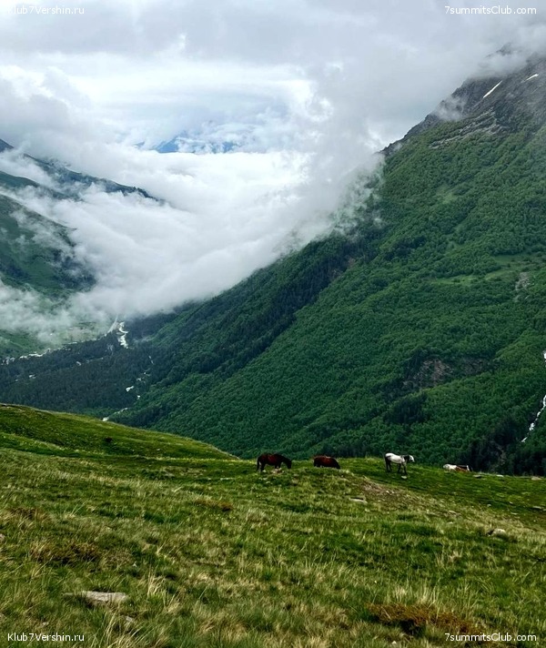 ������� 2023. ����. ����� 1, ���� 99